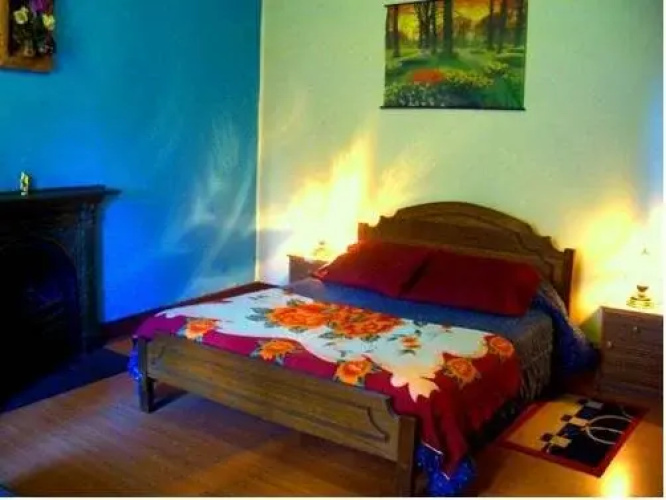 Hostal Millenium House