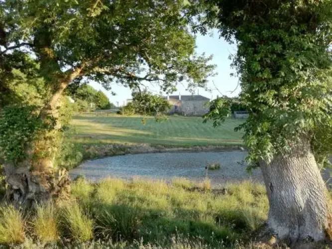 Rectory Farm