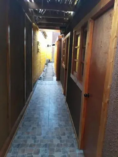 Hostal Cactus