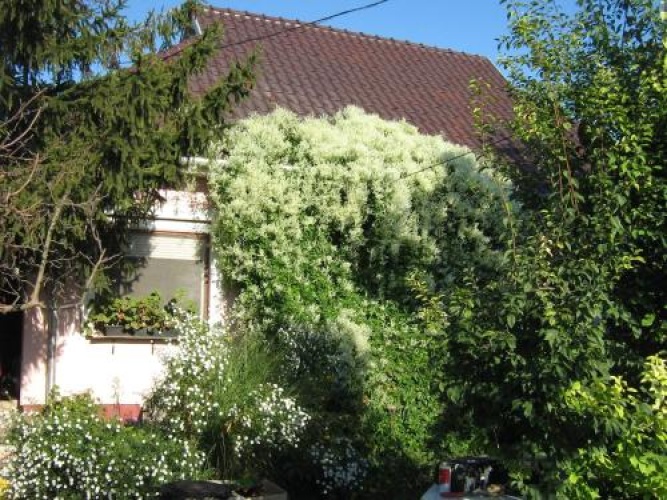 Árnyas Vendégház