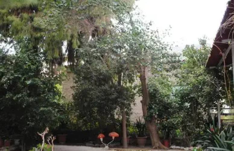 Pension Alkistis