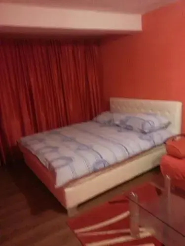 Apartment Savanovic