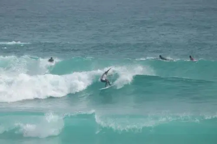 Noosa Surf Republic