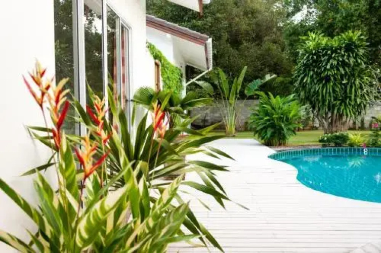 Blue Bird Guesthouse