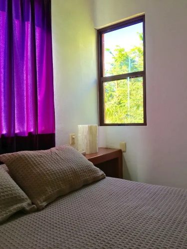 El Jardín de Frida