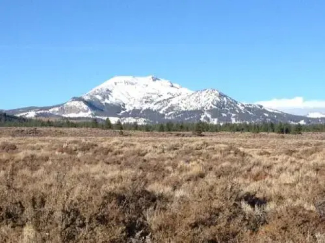 Mountainback #94