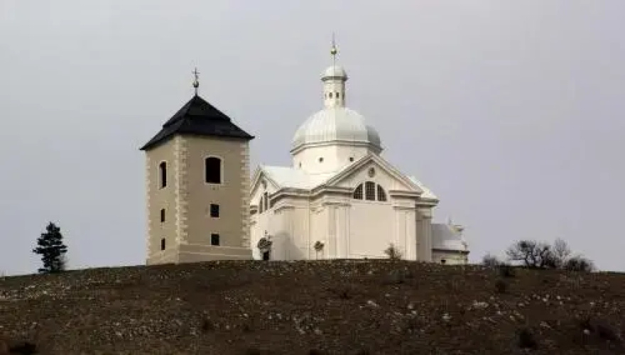 Pension Zelený strom