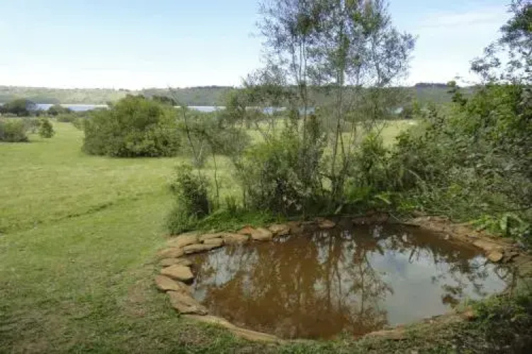 The Funny Farm Shire