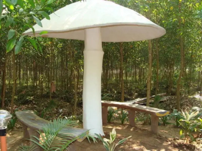 Dandeli Camps