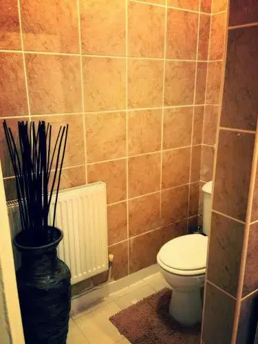 Welsh Cosy Cottage