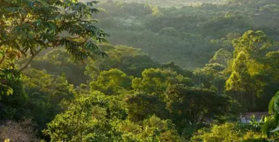 Mirante Lodge