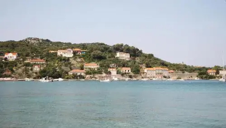 Apartments Tereza
