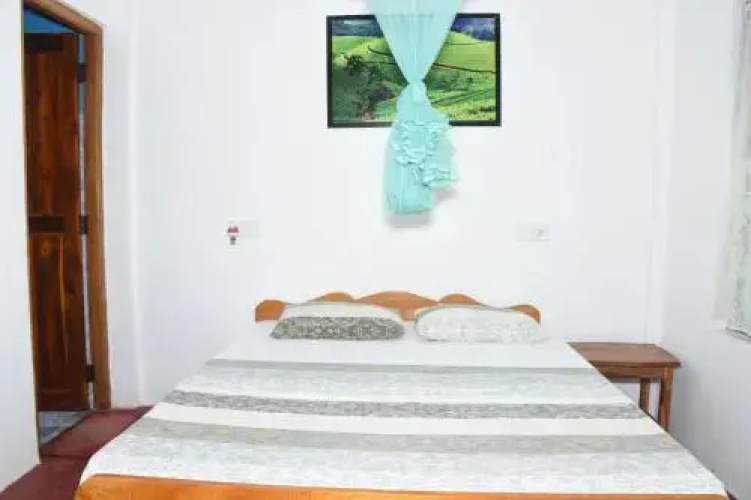 nilaveli palm house