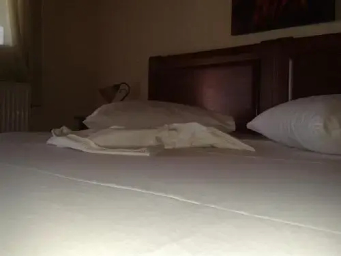 Guesthouse Adonis