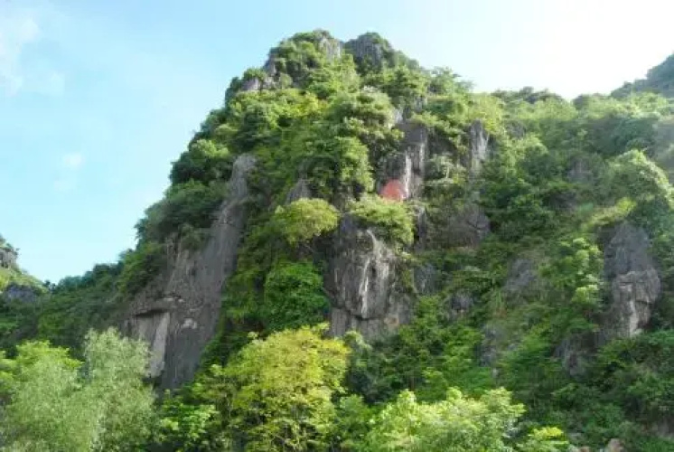 Phong Nha Orient Hotel