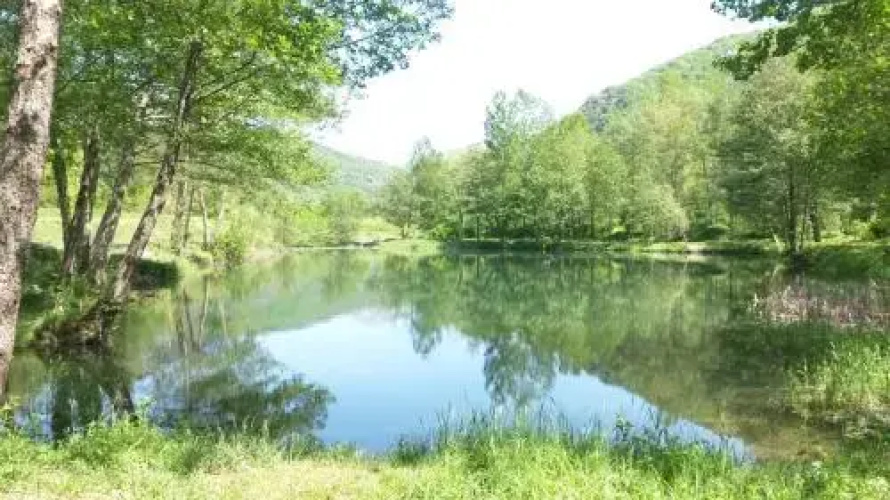 Camping La Marmotte