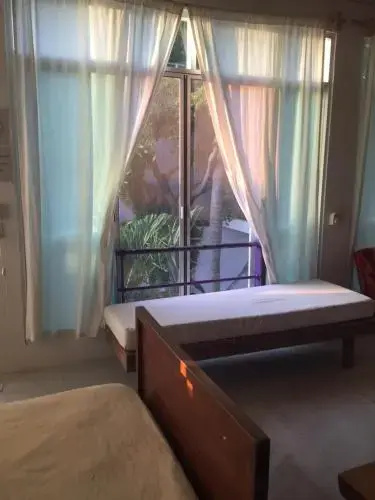 Casa Daikiri