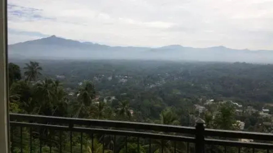Beauty Hills