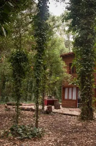 Cabañas Las Sirenas