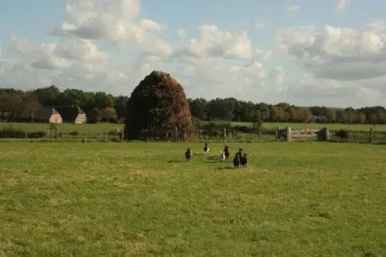 BuitenOosten