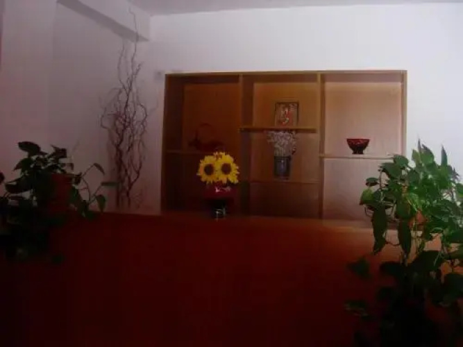 Vila Sophia Costinesti