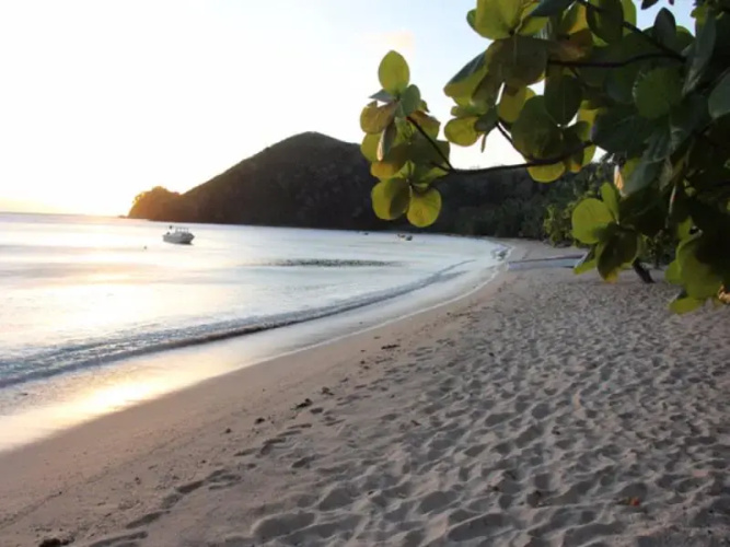 Korovou Eco Tour Resort