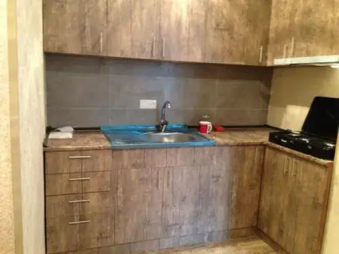 17 E. Cherqezishvili Flat