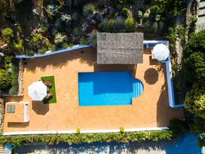 Finca Pura Vida