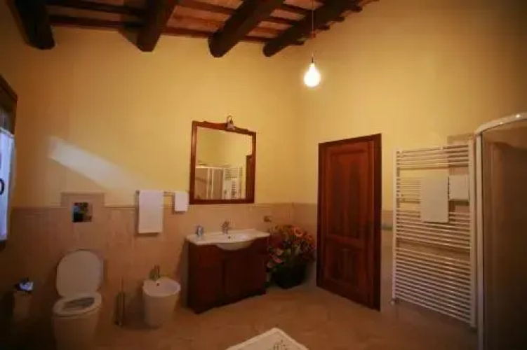 B&B Contarine