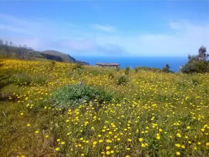 Quinta do Espigão