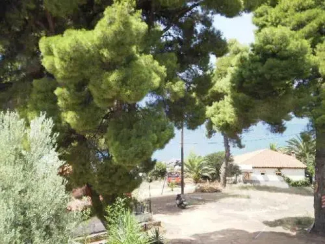 Studios Rosa