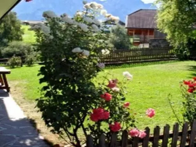 Apartments Karbon