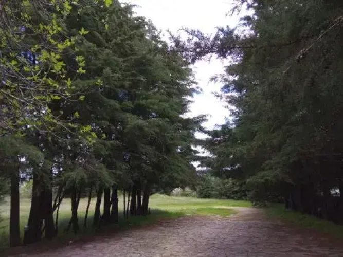Quinta do Sangrinhal