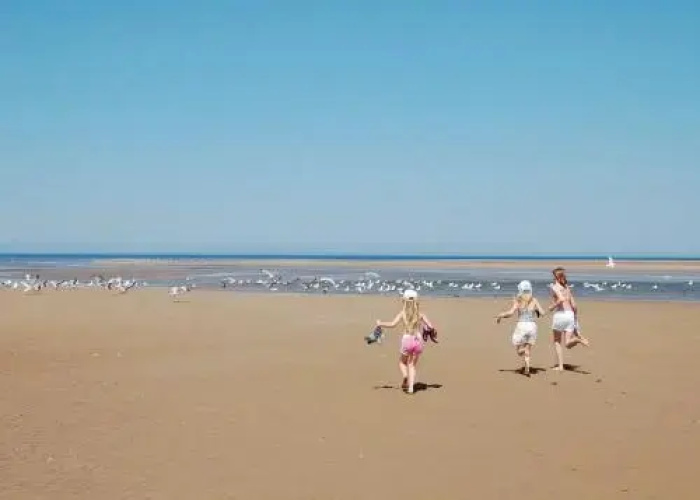 Sunnyvale Rhyl