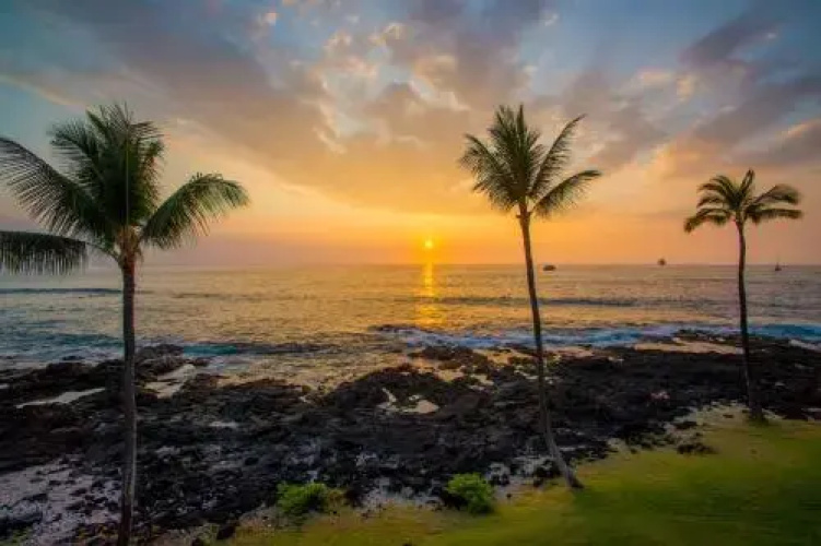 Kona Reef A37