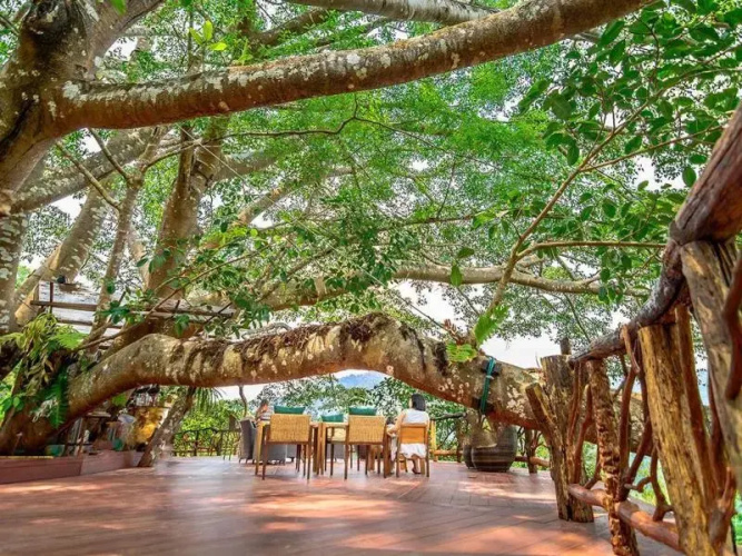 The Giant Chiang Mai Hotel