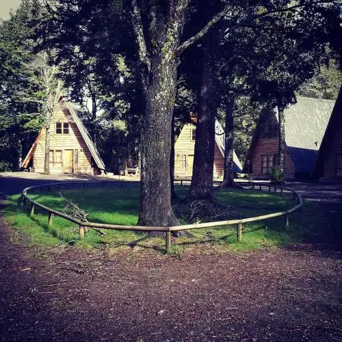 CABAñAS LAUTARO PUCON
