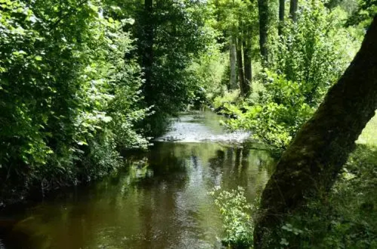 The Morrum River Bed and Breakfast