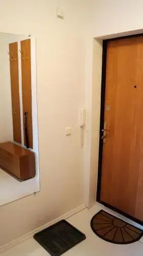 Apartment Mouse House