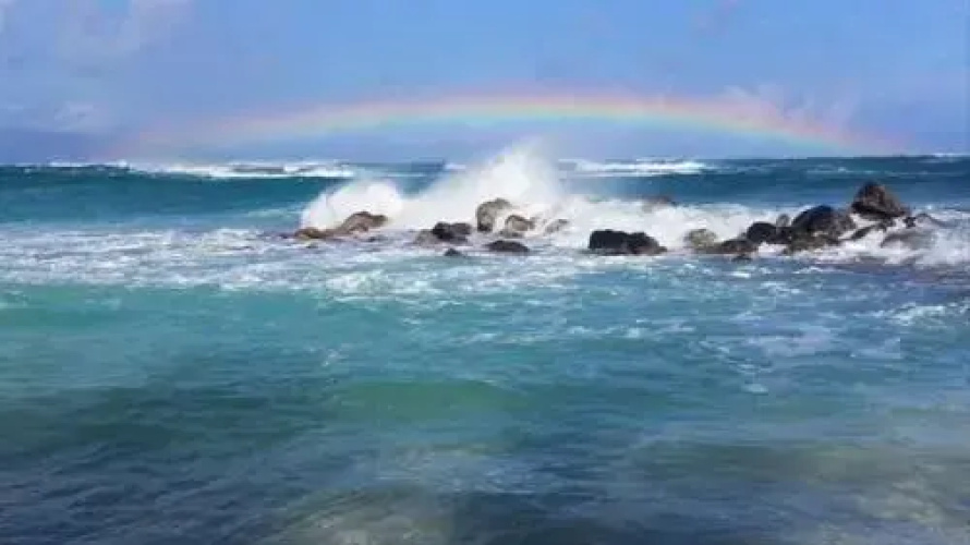 Kihei Akahi D-211