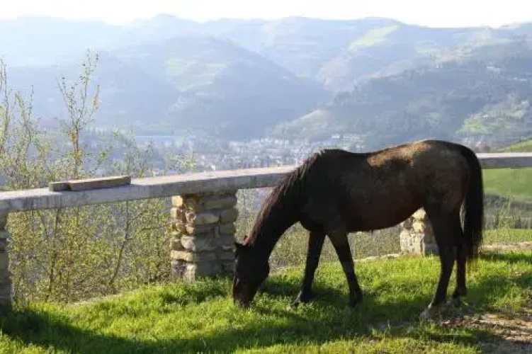 Agriturismo Re Piano