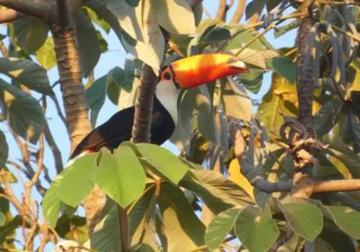 Pousada Rio Clarinho