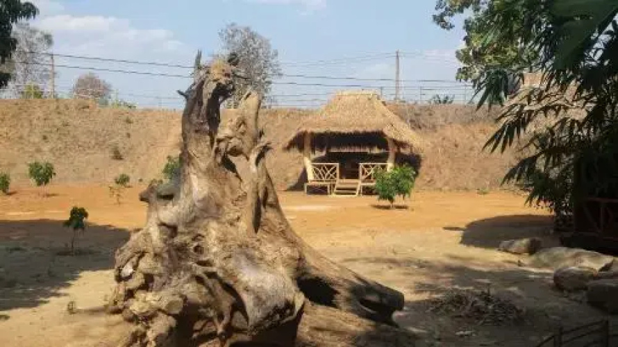 Doo-Dao-Doi Farm & Stay
