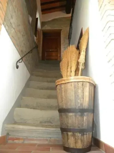 Azienda Agricola il Chiuso