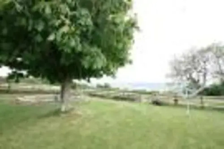 Apple Tree House