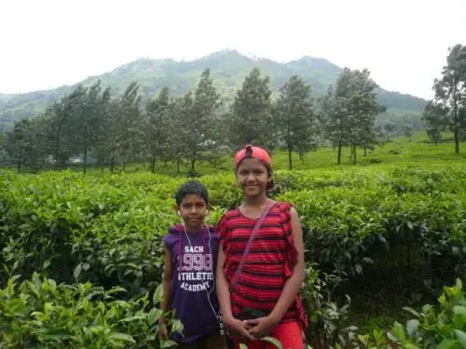 CRIS Home Stay Cochin