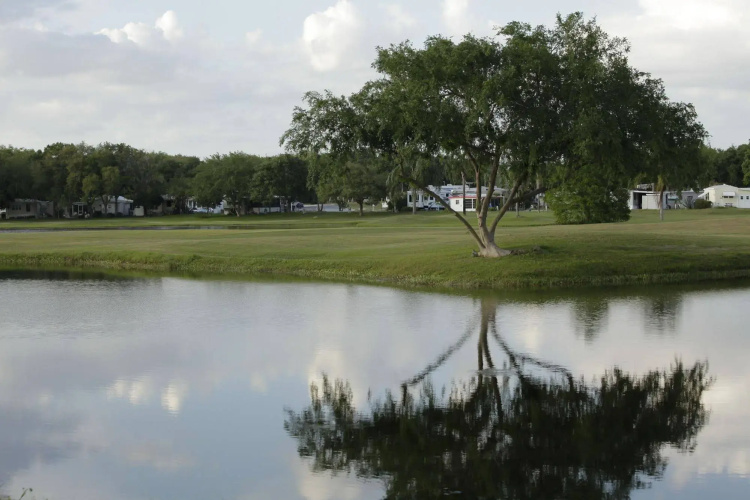 Clerbrook Golf & RV Resort - Caravan Park