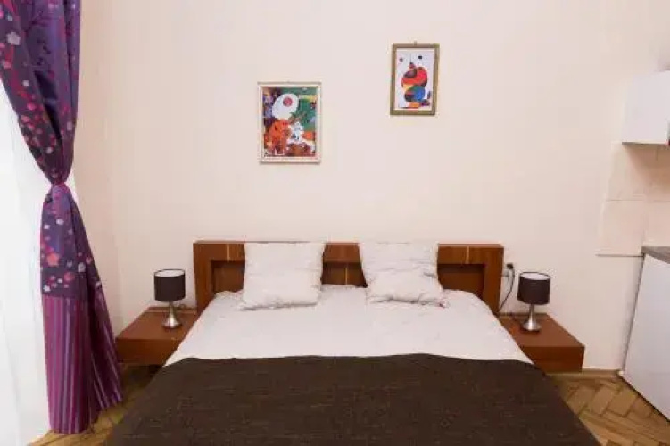 Erasmus Student Apartments - Old Town