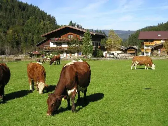 Winklhütte