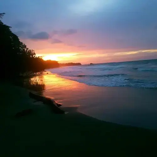 Sol de Nit
